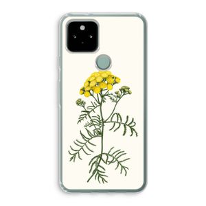 Tansy: Google Pixel 5 Transparant Hoesje