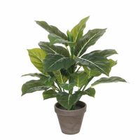 Groene Philodendron kunstplanten 49 cm met grijze pot - Kunstplanten - thumbnail