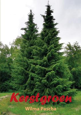 Kerstgroen (Paperback)