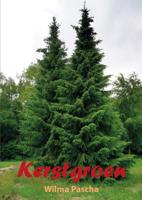 Kerstgroen (Paperback)