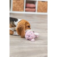Trixie pluche haas met tpr ring voor puppy (27 CM) - thumbnail