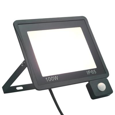 Spotlight met sensor LED 100 W koudwit