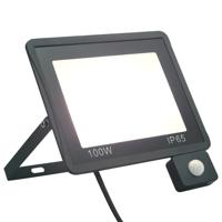 Spotlight met sensor LED 100 W koudwit