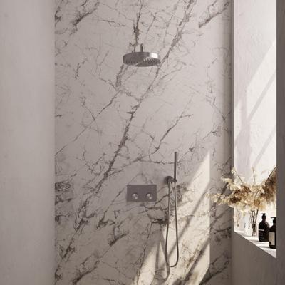 BRAUER Stripe Thermostatische Inbouw Regendouche - drukknoppen - 25cm douchekop - gebogen muurarm - staaf handdouche - doucheslang - wandaansluitbocht - RVS-kleurig geborsteld PVD 5-NG-415