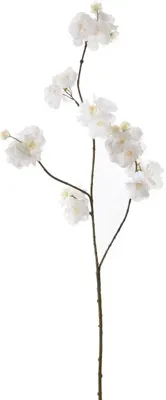 Pure Royal kunsttak bloesem 86cm crème