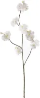 Pure Royal kunsttak bloesem 86cm crème