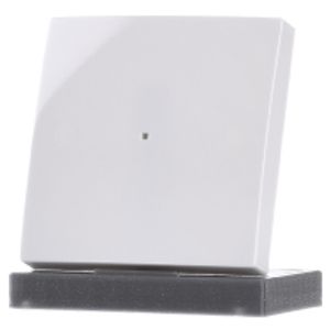 6230-10-914  - Touch rocker for home automation white 6230-10-914