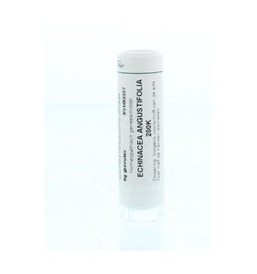 Echinacea angustifolia 200K