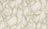 Dutch Wallcoverings Yudashkin 5 10X1,06M - Grijs/Goud Dutch Wallcoverings Yudashkin 5 10X1,06M - Grijs/Goud