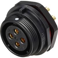 Weipu SP2112 / S 4 Ronde connector Bus, inbouw Totaal aantal polen: 4 Serie (ronde connectoren): SP21 1 stuk(s)