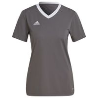 adidas Trainingsshirt Entrada 22 - Grijs Dames