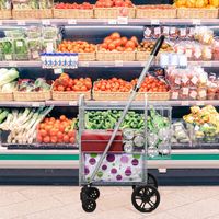 Boodschappentrolley Karretje Multifunctionele Wagen Opvouwbare Winkelwagen met Dubbele Mand / Verstelbare Handgreep Zilver