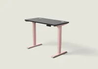 Desktronic HomePro bureau Zachtroze / Zwart / 120x60 cm