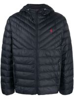 Polo Ralph Lauren Polo Pony padded jacket - Bleu