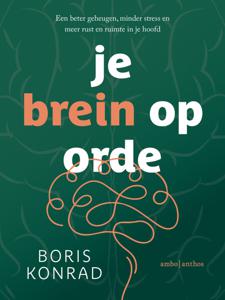 Je brein op orde (Paperback)