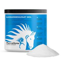 Glucosamine paard 500 gram - thumbnail