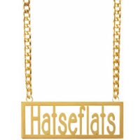 Verkleed sieraden ketting - thema Hatseflats - feestartikelen - goudkleurig