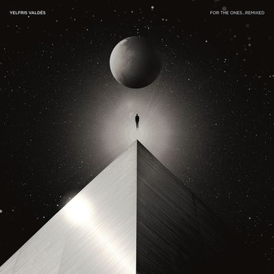 For The Ones Remixed - LP (0794712635345) For The Ones Remixed - LP (0794712635345)