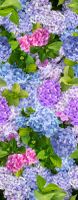 Wicotex tafelkleed hortensia 140x250 cm
