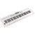 Roland GO:KEYS 5 WH keyboard wit