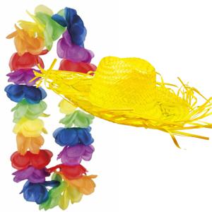 Carnaval verkleedset - Tropical Hawaii party - strohoed - en volle bloemenslinger multi colours