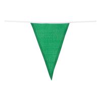 Boland Polyester kleurrijke vlaggenlijn 10m