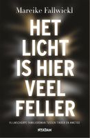 Het licht is hier veel feller - Mareike Fallwickl - ebook