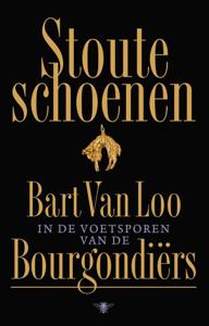 Stoute schoenen (Hardback)