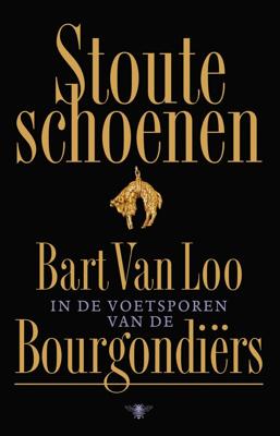 Stoute schoenen (Hardback)