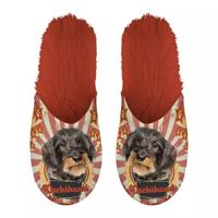 Pantoffel dachshund teckel oranje Pantoffel dachshund teckel oranje