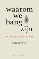 Waarom we bang zijn - Bram Vervliet - ebook