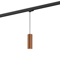 Wever & Ducre - Ray on track (1F) 2.0 PAR16 Hanglamp