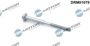 Schroef, inspuitstukhouder Dr.Motor Automotive, u.a. für VW, Skoda, Audi, Seat