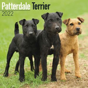 Patterdale Terrier Kalender 2022