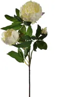 Pure Royal kunsttak pioenroos 70cm crème