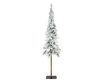 Alpine fir d75h300cm groen/wit - Everlands