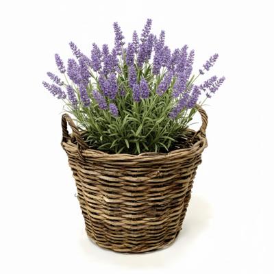 VD Leeden Plantenmand Twijg - rond - bruin - 30 x 23 cm - rotan - gevlochten riet - bloemenmand