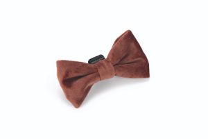 Designed By Lotte hondenstrik Zaza velvet roze 12 x 7 x 2cm