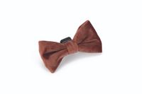 Designed By Lotte hondenstrik Zaza velvet roze 12 x 7 x 2cm