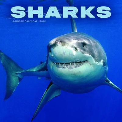 Haaien Kalender 2026