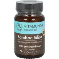 Liposomale Bamboe Silica