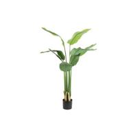 Countryfield kunst plant Strelitzia S groen-L50B40H90CM Countryfield kunst plant Strelitzia S groen-L50B40H90CM