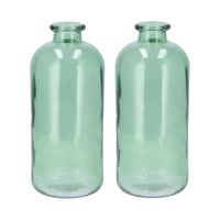DK Design Bloemenvaas fles model - 2x - helder gekleurd glas - zeegroen - D11 x H25 cm - Vazen