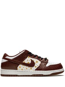 Nike baskets SB Dunk - Marron