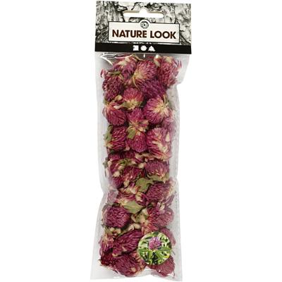 Creativ Company Gedroogde bloemen rode klaver paars, 15gr