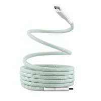 Kabel USB-C naar USB-C T'NB TCPDMAGGR 1,5 m Groen