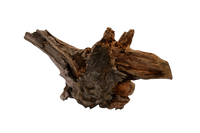 Superfish Driftwood XX-Large - Natuurlijk Hout voor Aquascaping, Ideaal Voor Middelgrote/Grote Aquariums