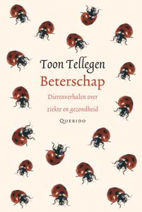 Beterschap - Toon Tellegen - ebook