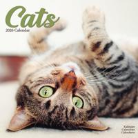 Katten Kalender 2026