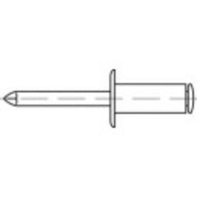 TOOLCRAFT 160003 Open popnagel (Ø x l) 5 mm x 10 mm RVS Staal 500 stuk(s)